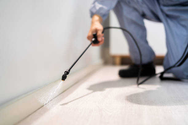 Certified termite inspector examining foundation in Glendale